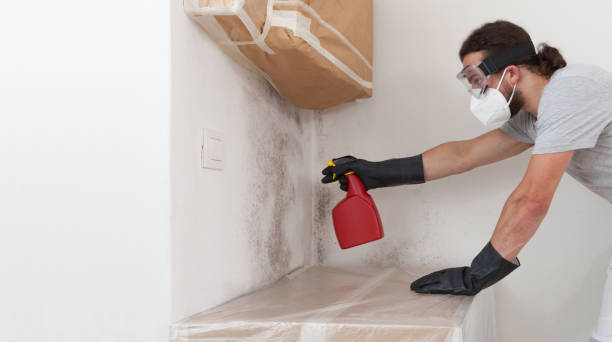 Professional Bathroom Mold Removal technician working in Glendale, KY